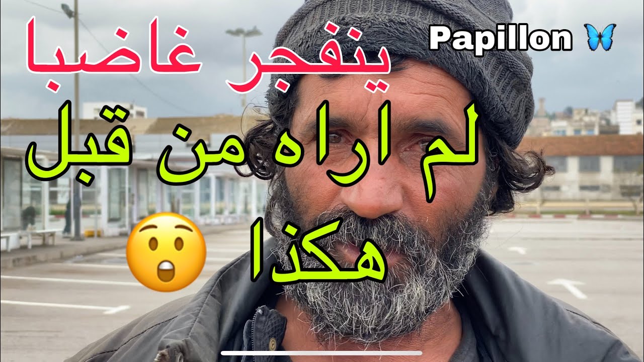 بابيون papillon غاضب 😡  خلاص قلوبنا  تعمرو