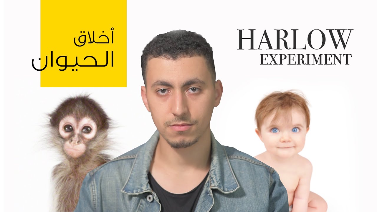 أخلاق الحيوان