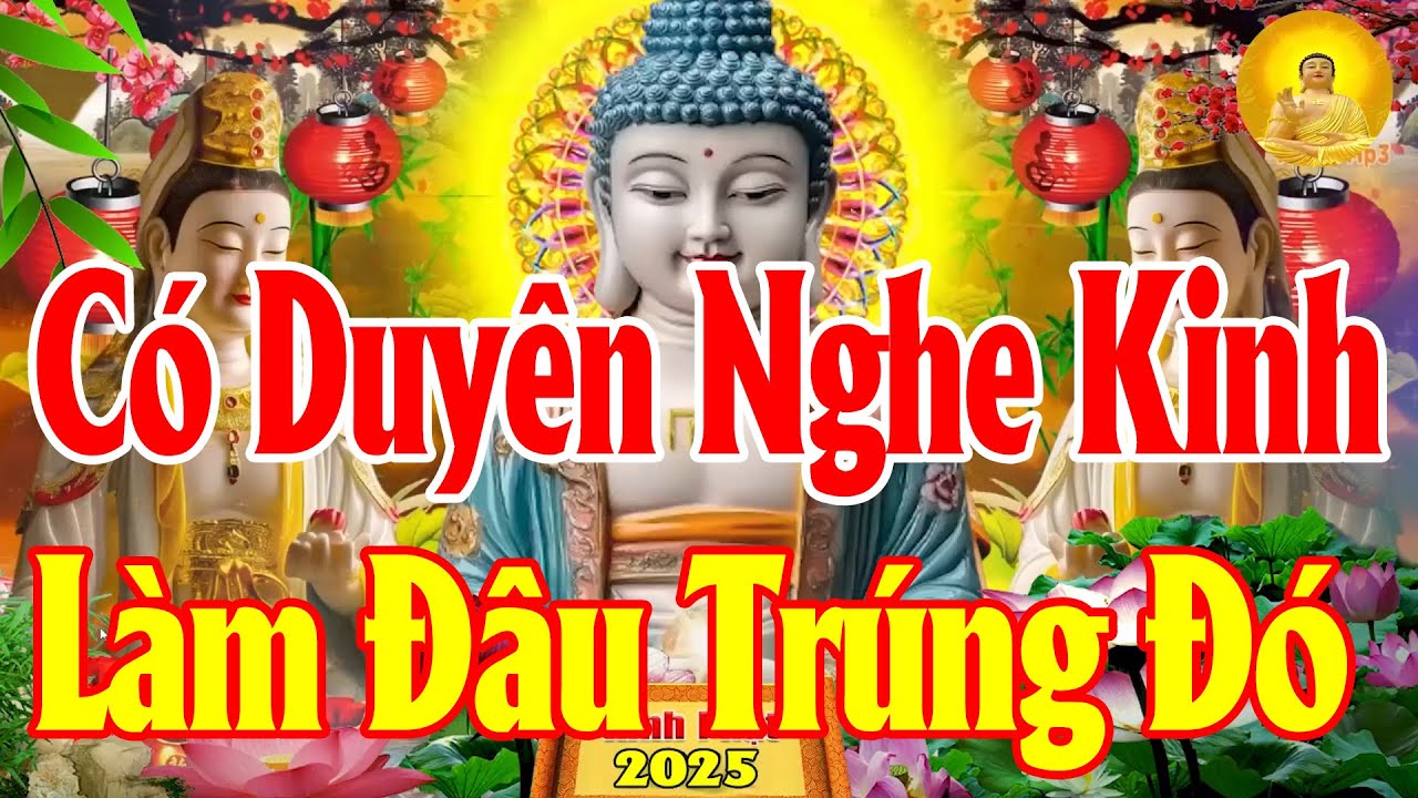 Sáng Mở KinhNày SámHối Phật Tổ Cứu Độ Hết Khổ Hết Bệnh Cả Nhà Êm Ấm MạnhKhoẻ BìnhAn Làm Đâu Trúng Đó