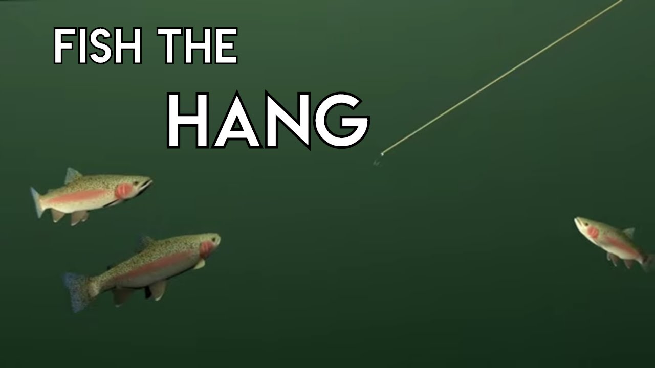 Catch More Trout | Fish The Hang