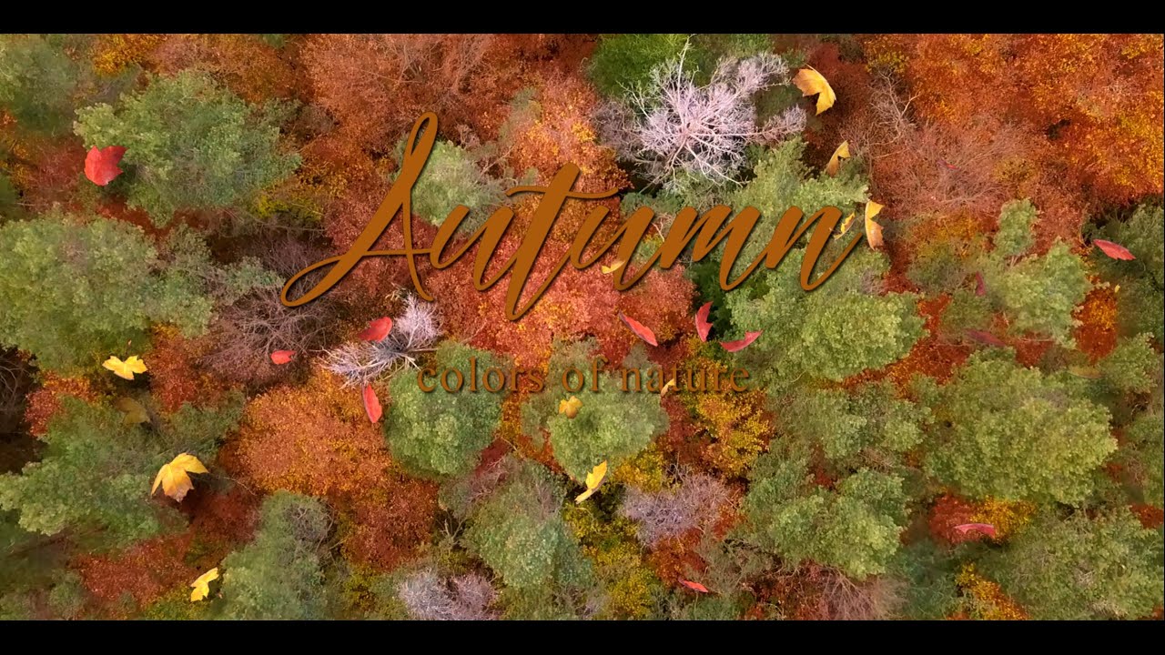 FPV cinematic: Autumn colors of Ardeche | France