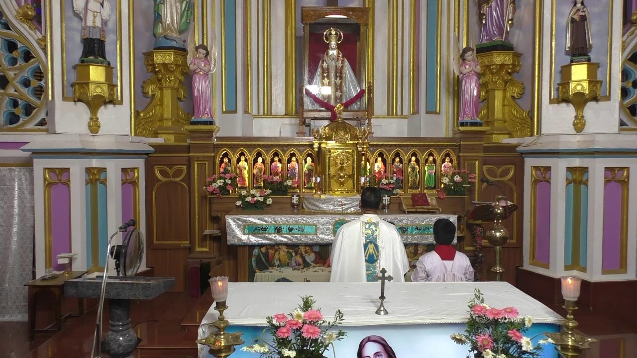 ༺♰༻ 🅛🅘🅥🅔 𝑽𝒂𝒅𝒂𝒗𝒂𝒊 𝑷𝒂𝒓𝒂𝒍𝒐𝒈𝒂 𝑴𝒂𝒕𝒉𝒂 - Festival Mass in Tamil -  2025 - திருப்பலி
