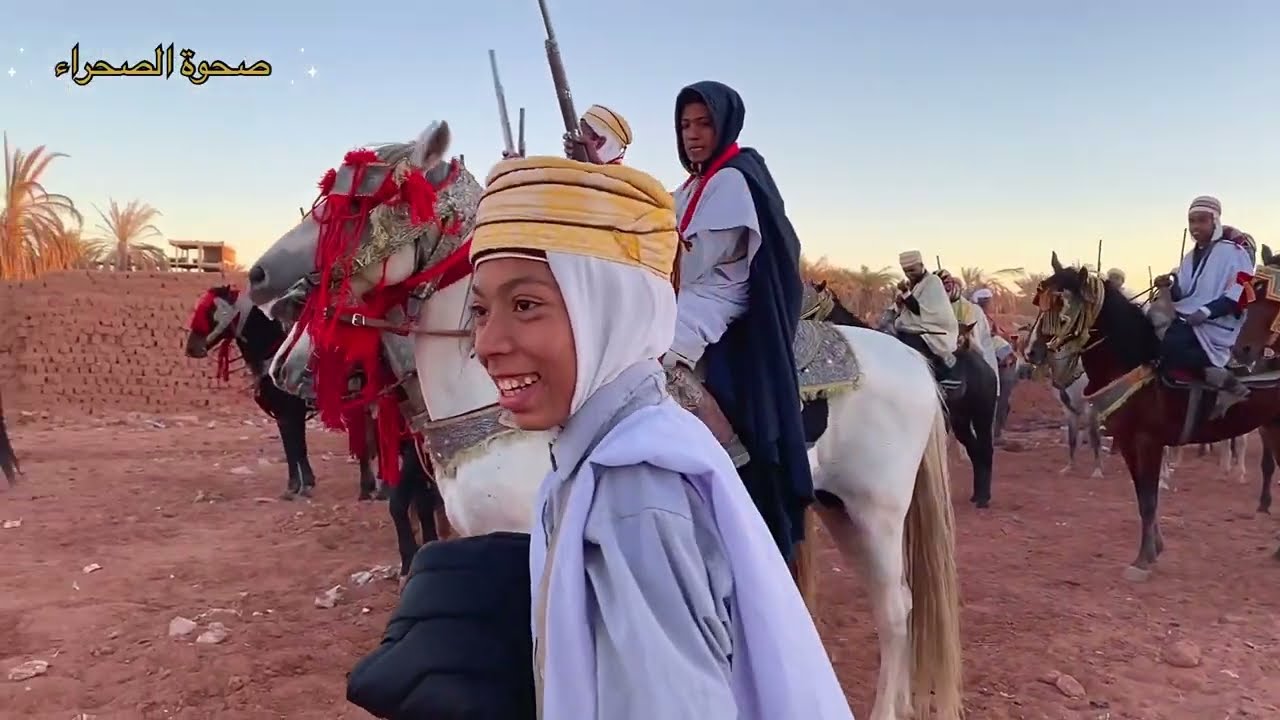 صحوة الصحراء…اقبال من جديد على تربية الخيول#الجزائر #خيل #اهميه #morocco #إبستين #الصحراء .
