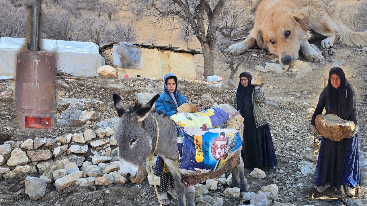 🌨️🐑 Nomadic Life | Building a Stone House for Sheep in the Cold of Winter