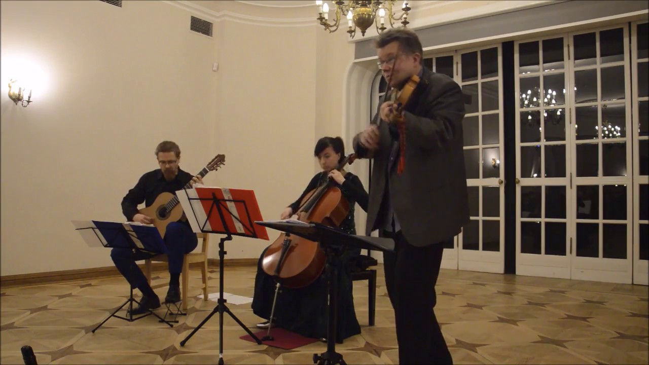 Arto J&auml;rvel&auml; -  Grief - Cello Guitar Duet Duo Vitare & Arto J&auml;rvel&auml; (violin)