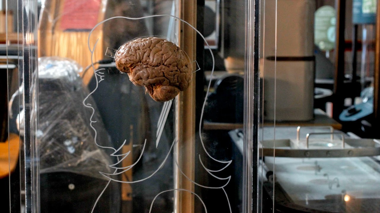 The Cognitive Edge: How Self-Awareness Shapes Confidence and Decision-Making