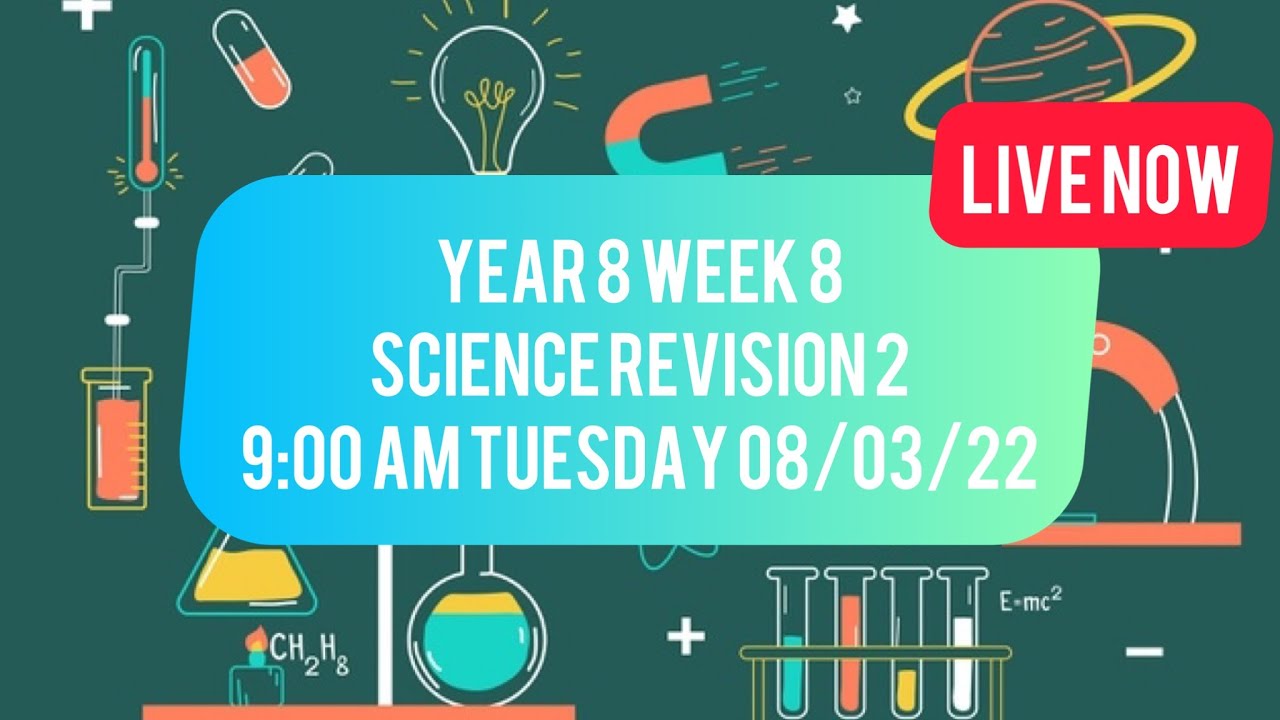 Year 8 Science Class (Week 8)