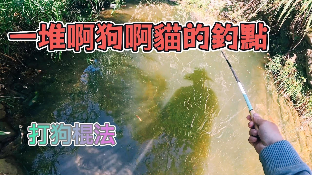 這地方魚很多，但野狗更多！去秘境釣魚真的要帶防身工具嗎？#苦命人 #中部 #小物釣り #馬口 #捲仔 #釣魚 #溪流 #fishing
