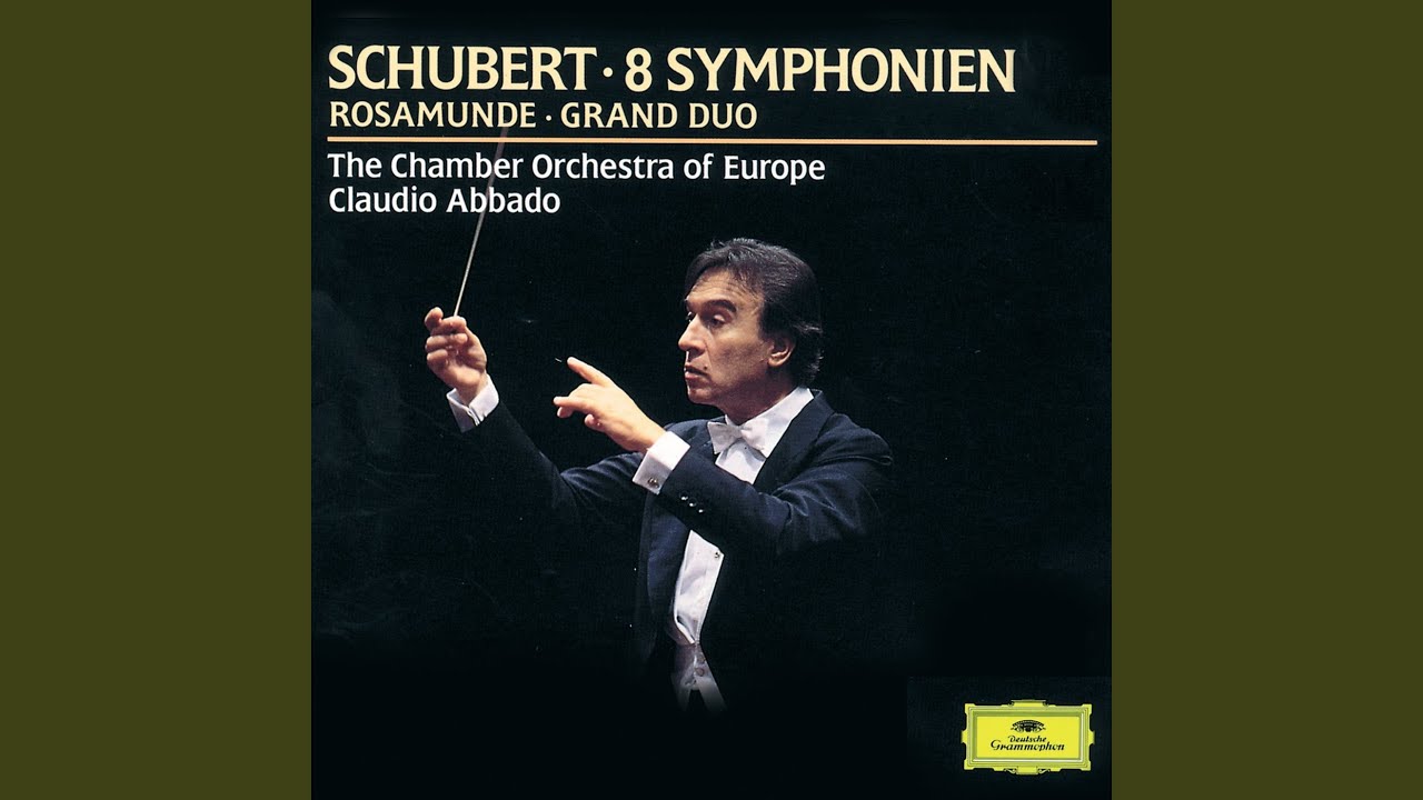 Schubert: Grand Duo Sonata in C Major, D. 812 (Orch. Joachim): IV. Finale. Allegro moderato