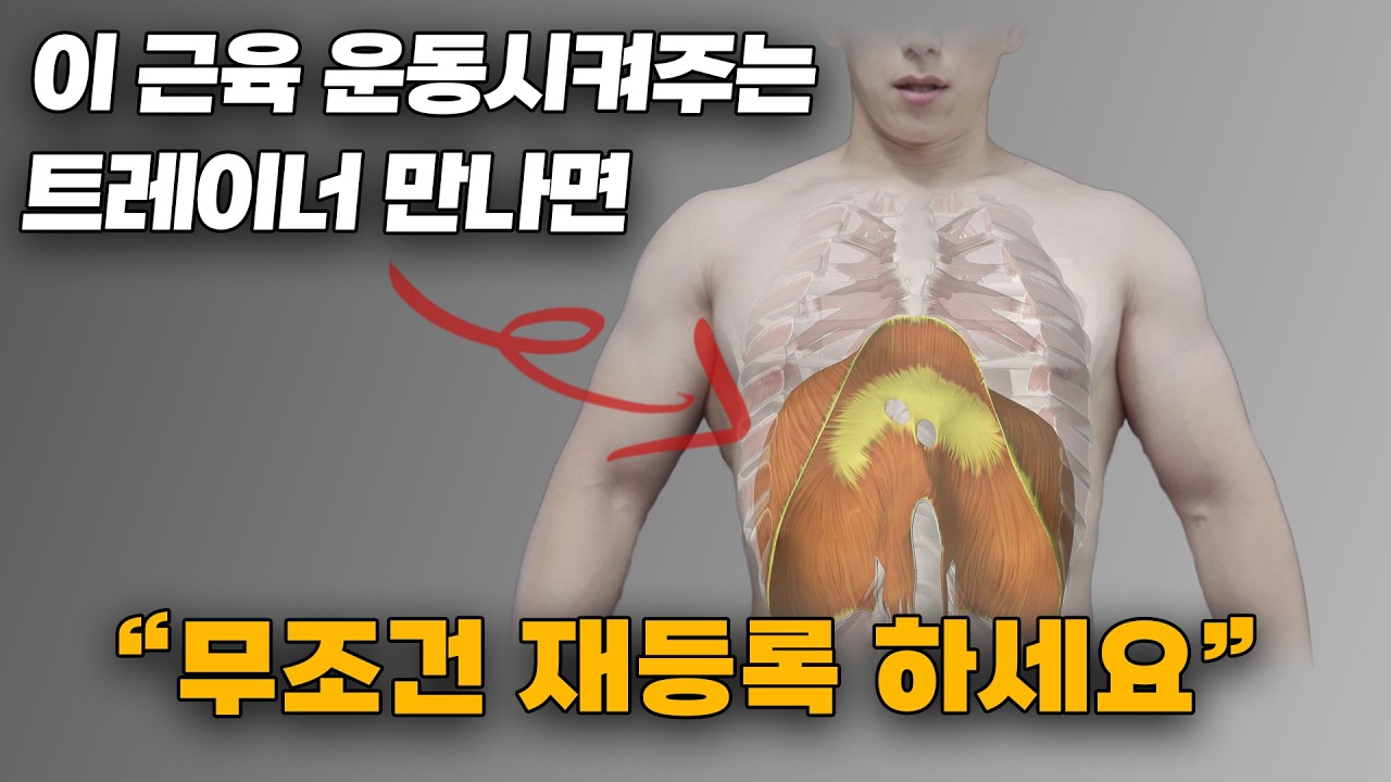 이 근육이 제일 중요함