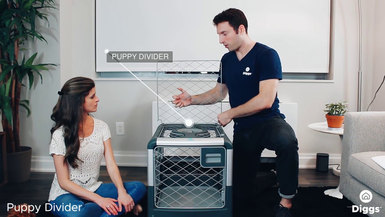 Puppy Divider