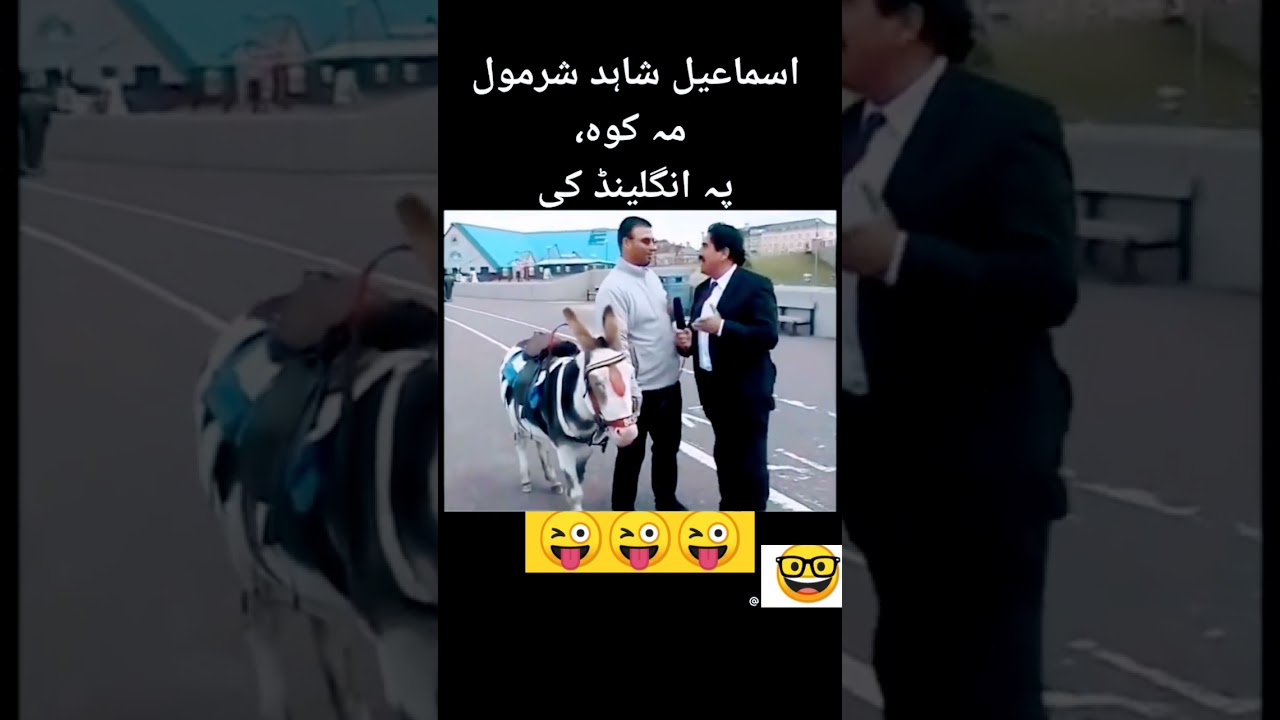 Ismail Shahid Short Funny Vedio #funny #shorts #ismailshahid