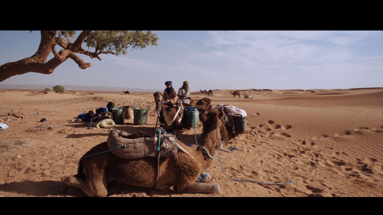 Sahara Nomads I Travel Film Sigma FP