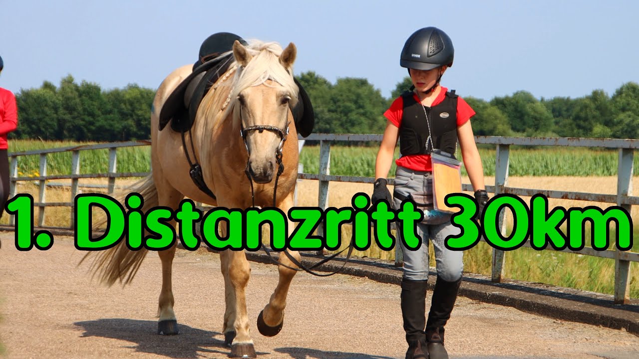 Distanzritt Ströher Aue 2021