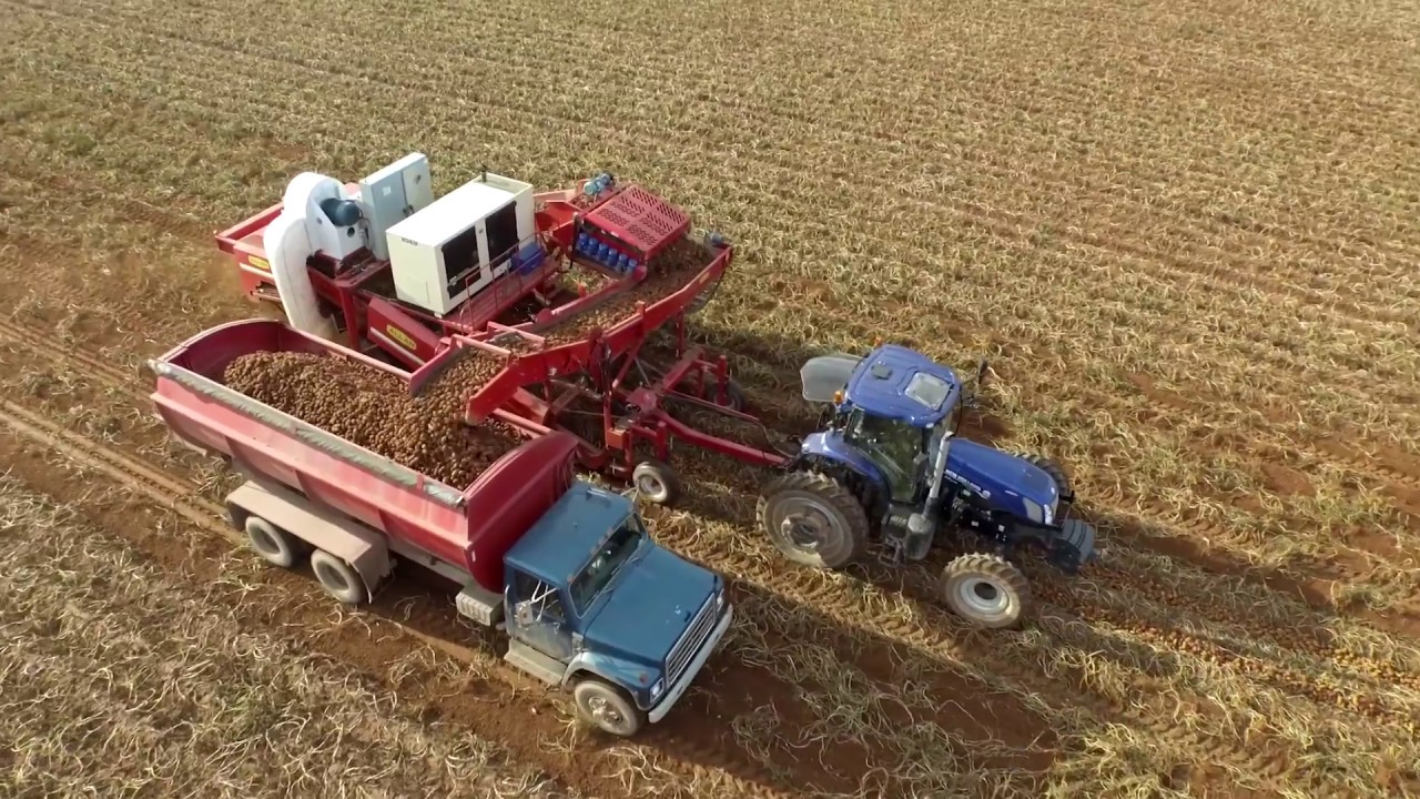 Allan Equipment 3 Row Potato Harvester Testimonials