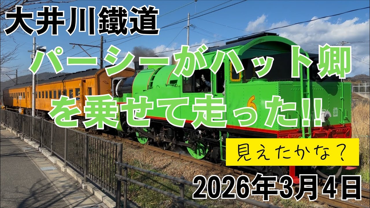 大井川鐵道 パーシーがハット卿を乗せて走った‼︎ 見えたかな？ 2026.3.4 Percy Takes Sir Topham Hatt on a Journey! Did You See Him?