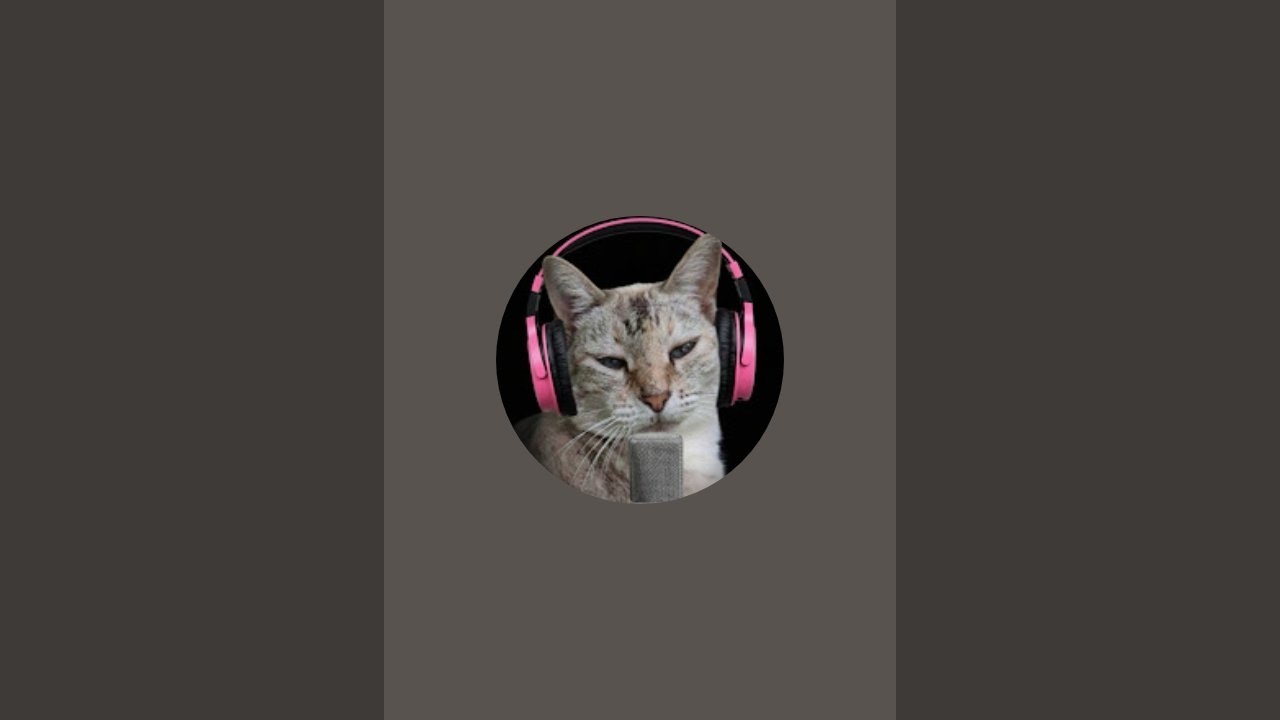 SamyTuber está ao vivo!