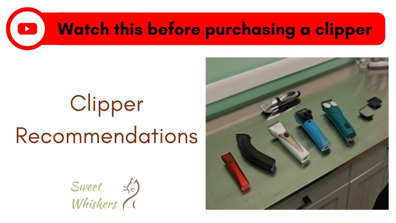 Clipper Recommendations For Your Cat