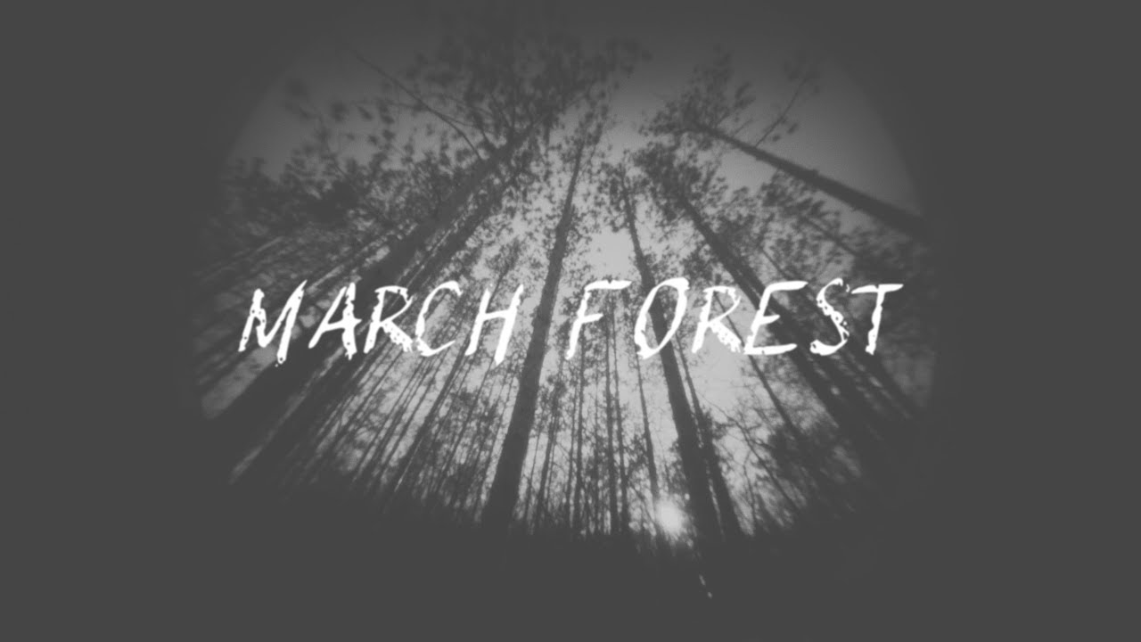 March Forest: Sony A7S II Pinhole Video