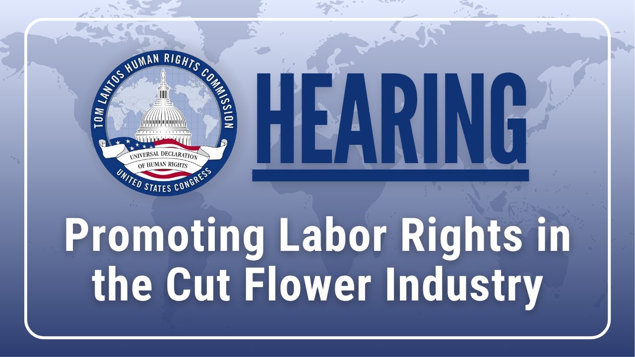 Promoting Labor Rights in the Cut Flower Industry