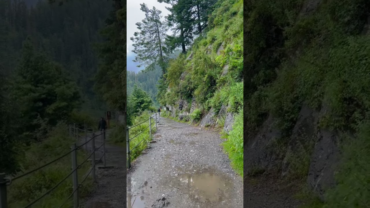 Donga Gali |Ayubia Pipe line track | Ayubia Murree Pakistan 🌲🌧😍❤️