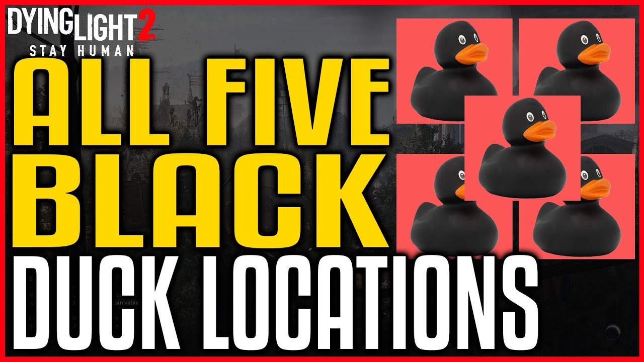 Dying Light 2 ALL HIDDEN BLACK DUCKS LOCATIONS – 5 Secret Black Ducks Locations – Easter Egg