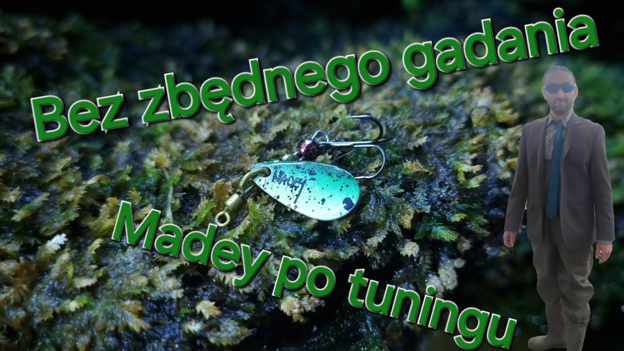 Bez zbednego gadania z Madeyem #madey #chub #fishing #spinning #blackswan #shimano #wędkarstwo #klen