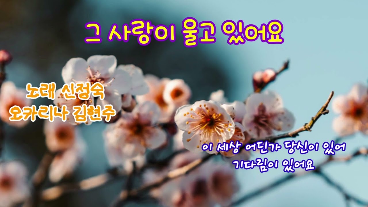 그 사랑이 울고 있어요 #오카리나연주 #신정숙 노래 #김현주 오카리나