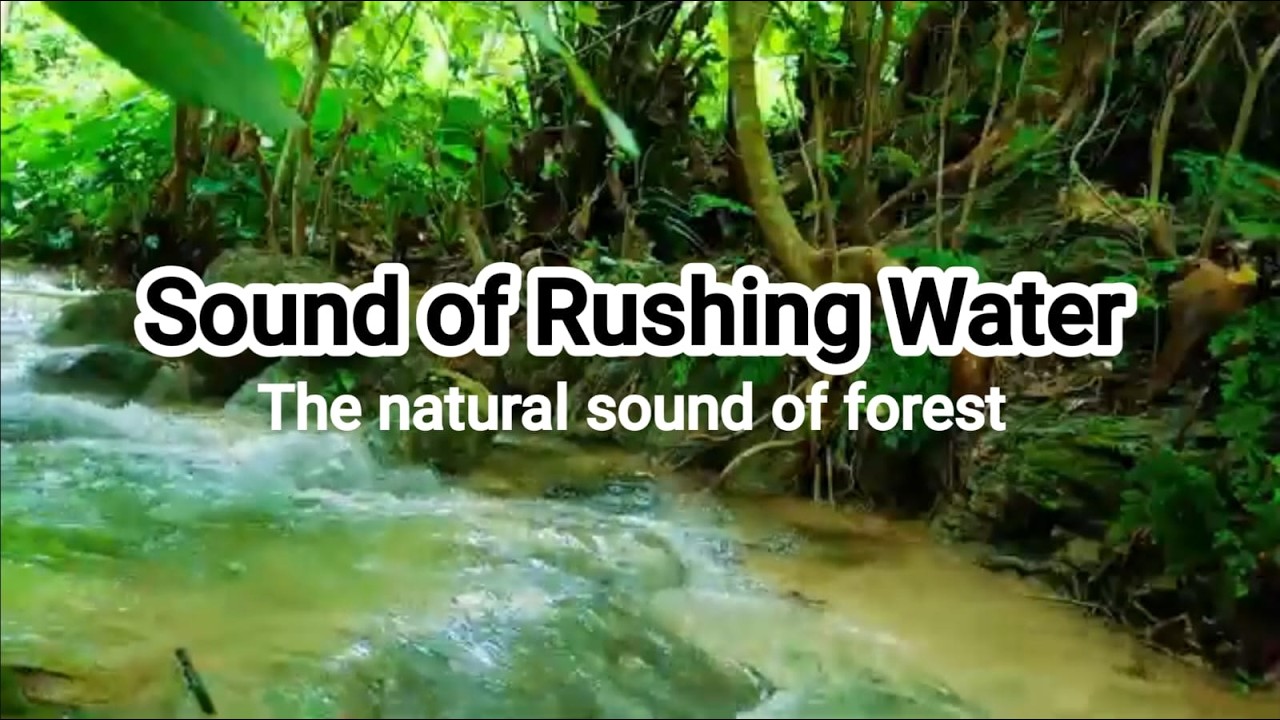 The natural sound of rushing water from the forest to calm a restless mind.