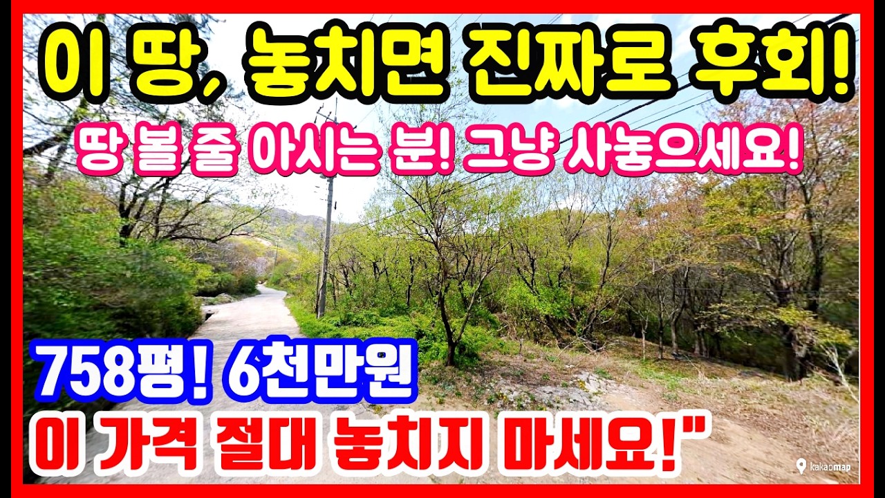 1500만원 인하! 경북 급매물 촌땅 시골땅 매매 경주부동산 경주토지매매 경주땅매매 #착한부동산
