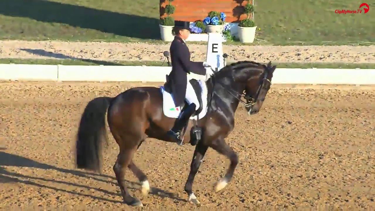 Dorothee Schneider | Showtime | CDI 5* Grand Prix | Pferd International | München | 2016