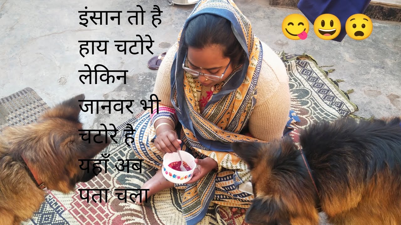 इंसान तो है ही चटोरी लेकिन जानवर भी चटोरे हैं ये अब पता चला ||#myfamilylifestylevlog #familyvlog 