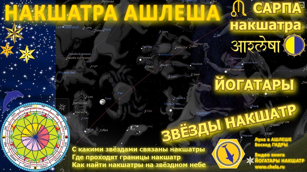 Накшатра Ашлеша/ Звездные ориентиры накшатр / Йогатара Ашлеши / Космическое болеро #ашлеша