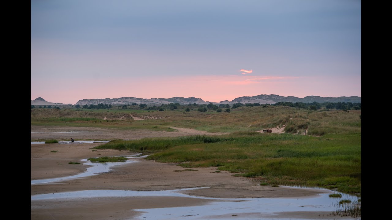 Panorama Waddenzee - introfilm over Het Wad altijd in beweging