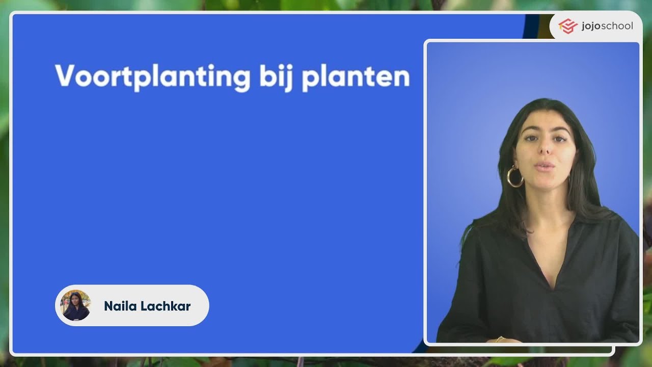 Voortplanting bij planten - Biologie - VMBO, HAVO & VWO