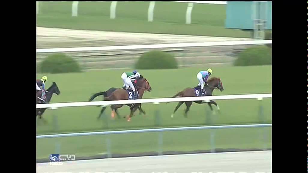 2015.05.03 Tenno Sho (Spring) 