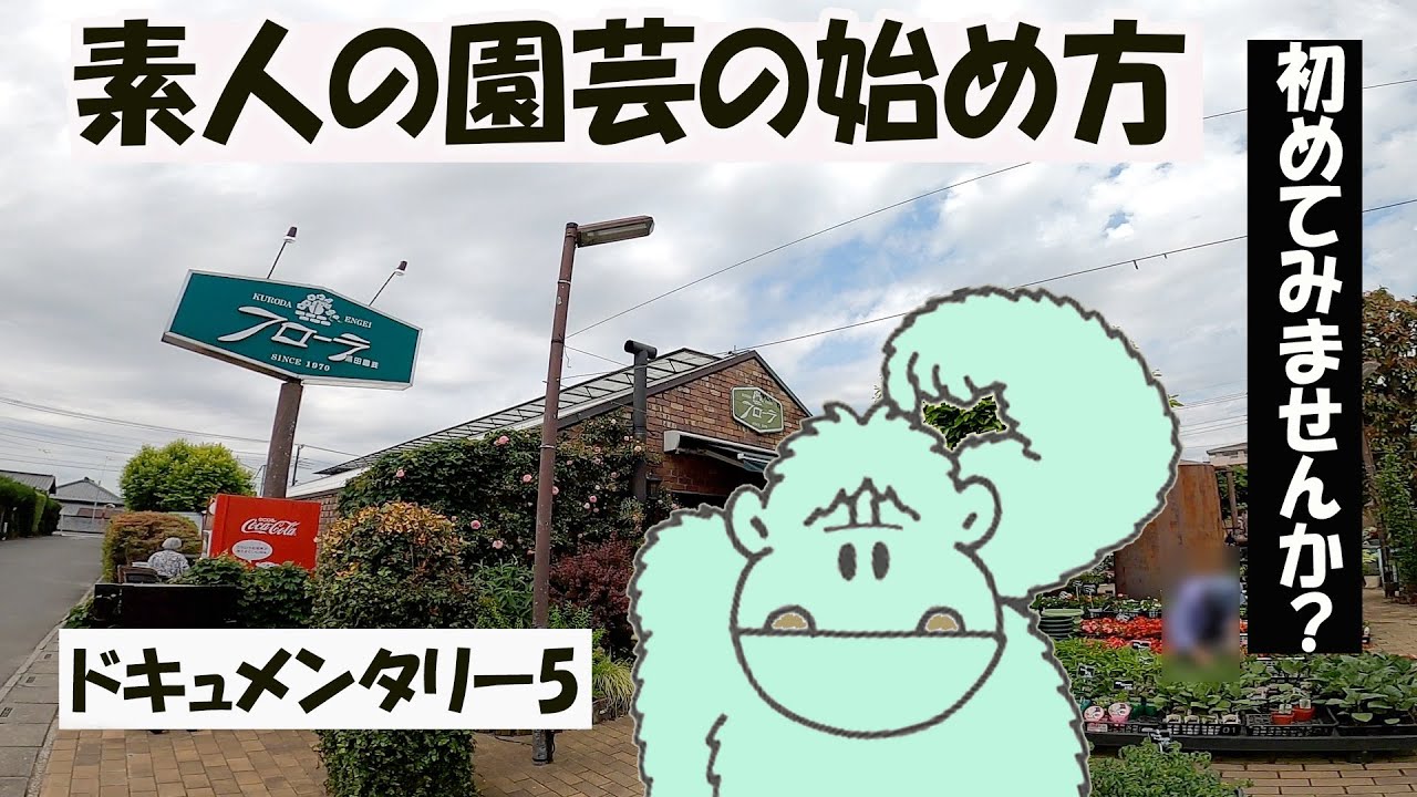 【フローラ(大宮)】で、植物を買って、寄せ植えを作りました。我が家のお庭もご紹介いたします。【もんちゃんのvlog】