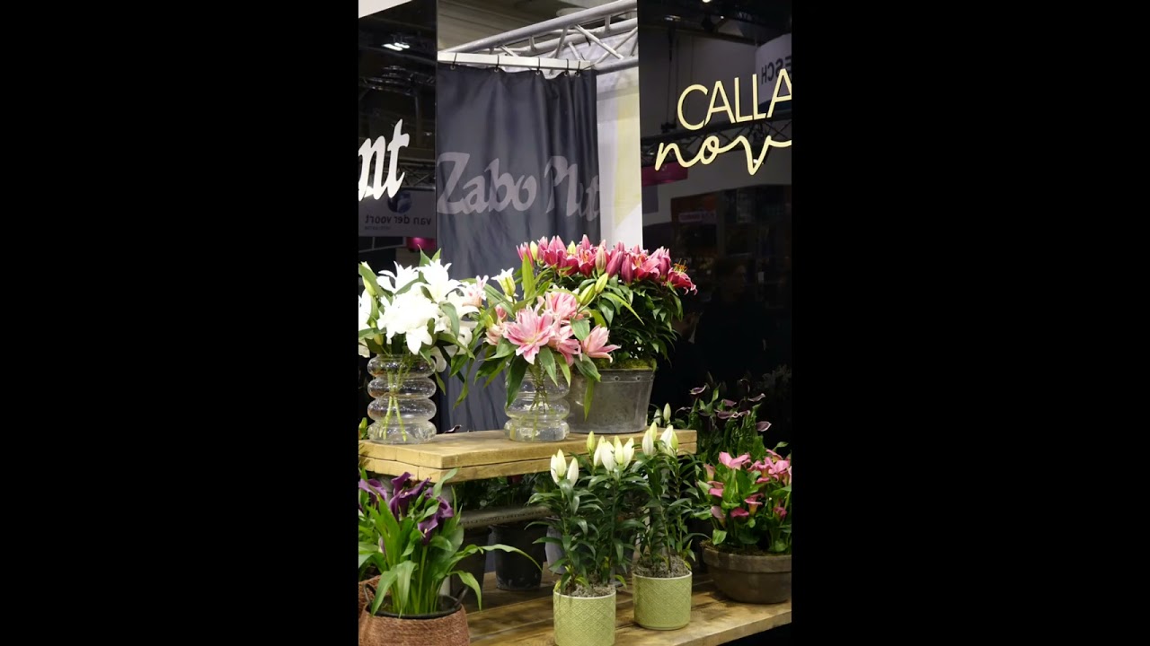 IPM ESSEN 2023 / fantastic flowers and trees /