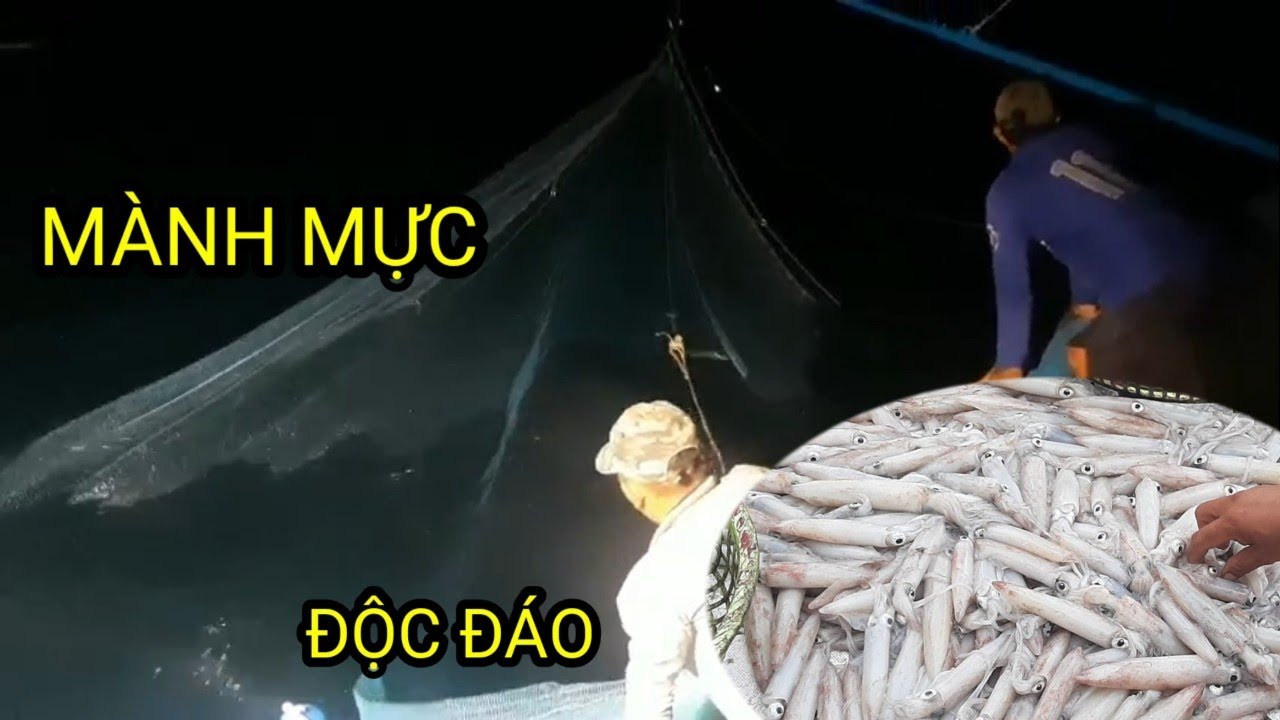 M&agrave;nh chụp Nghề đ&aacute;nh bắt mực đơn giản hiệu quả cao