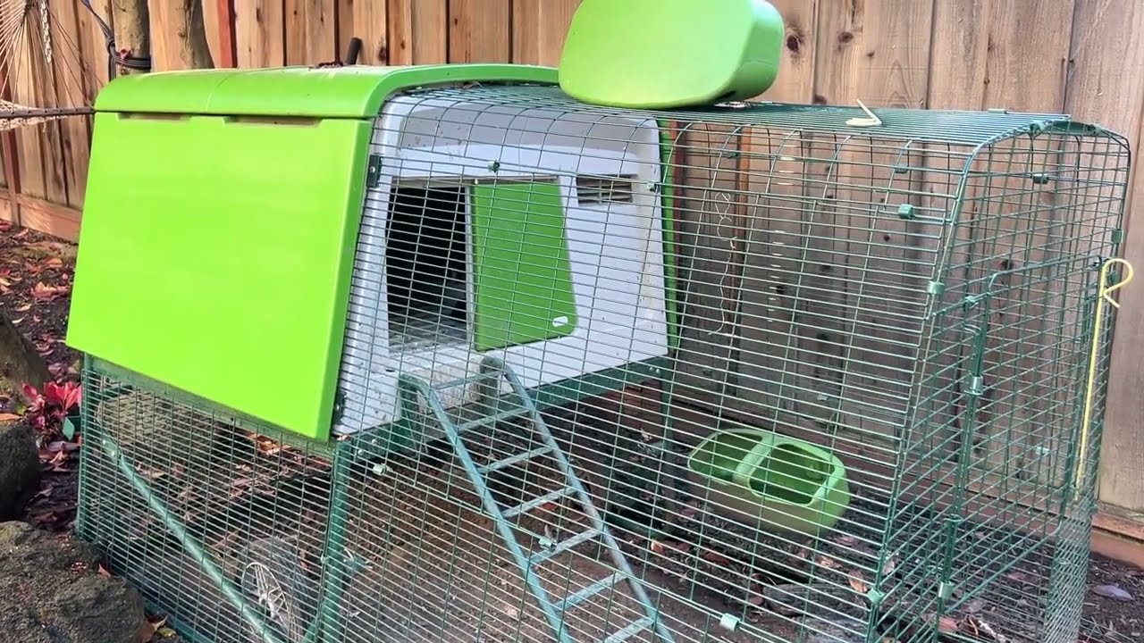Omlet Eglu Cube Chicken Coop Review After 1 Year of Use