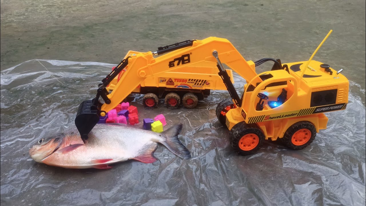 Transfer big fish in water tank by turbo truck ll kids play tv