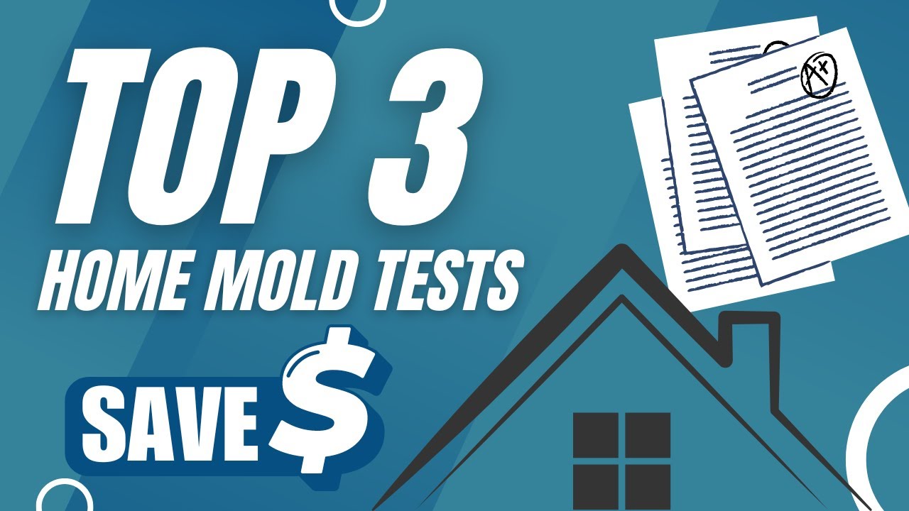 The 3 Main Types of Mold Tests for Your Home (And How to Use Them)