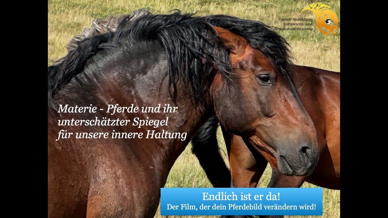 Träge? Stumpf? Grob? NEIN - missverstandene Pferde! Menschen brauchen Feingefühl für ihre Sprache