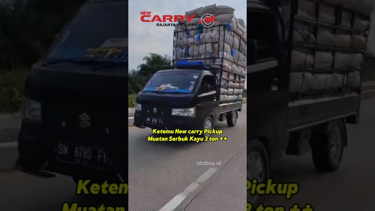 Kekuatan Suzuki New Carry Pickup 🔥🔥 
