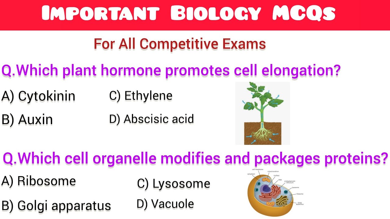 Biology MCQs | Science Mcqs | Biology GK | General Science | Biology Quiz | Biology For All Exams