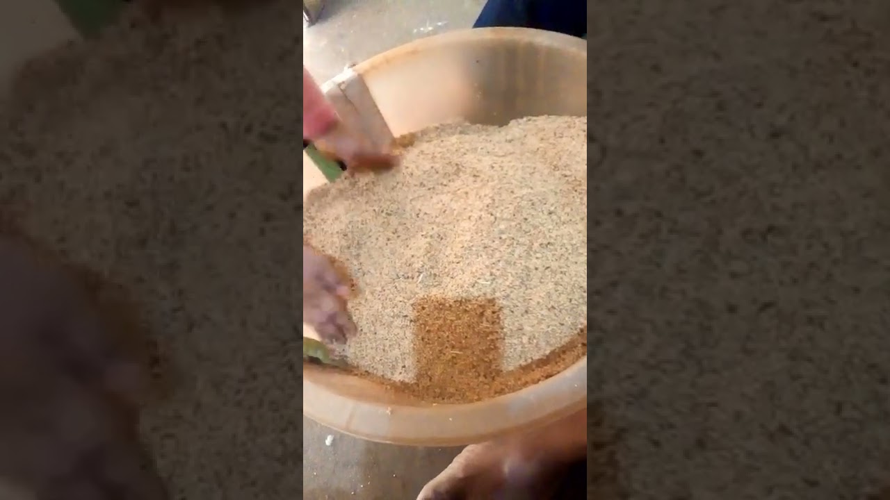 Finch seed mix for Winter Season