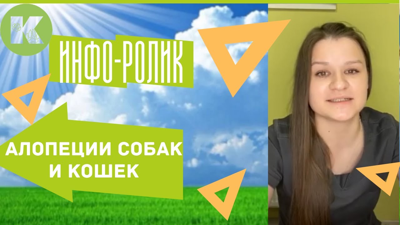 Алопеции собак и кошек, как лечить? Причины?