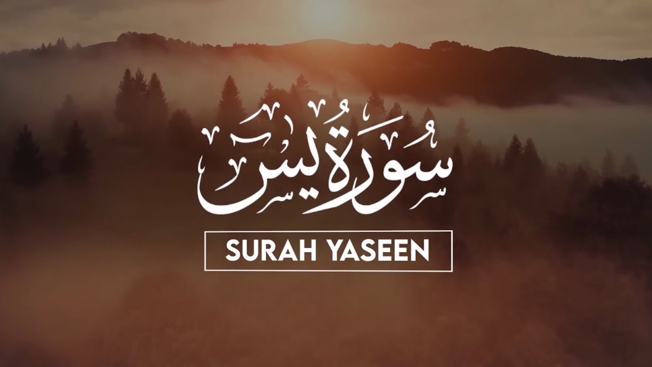 Surah Yaseen Every Day Tilawat🤲 | Episode- 4 | Beautiful Quran Recitation🌼