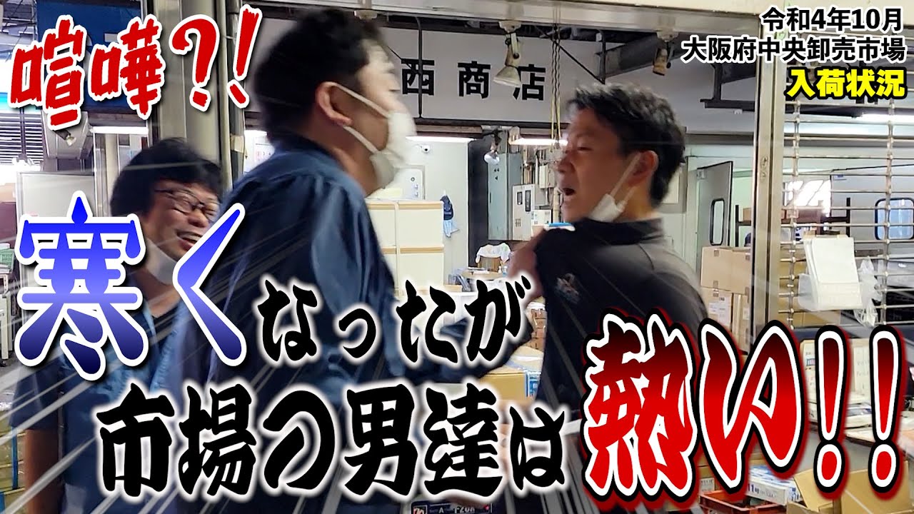 【大阪仲卸】朝の市場は楽しいで～WW【大阪府中央卸売市場】入荷増です。