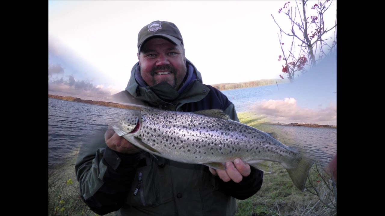Vinterfiskeri i Mariager Fjord 2012-2014